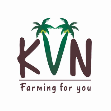 KVN
